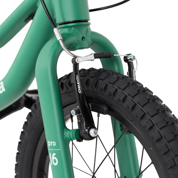 BICICLETA PARA NIÑOS NIÑAS RODA PRO ARO 16