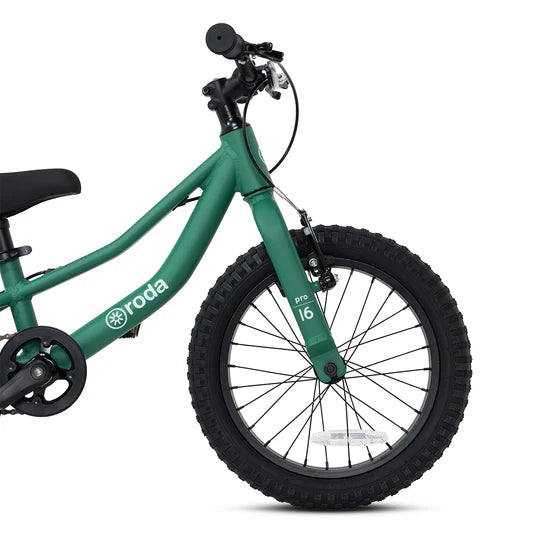 BICICLETA PARA NIÑOS NIÑAS RODA PRO ARO 16