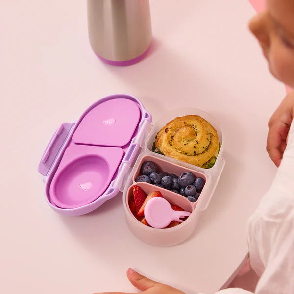 Snack Bento Buddy para Snackbox  - b.box